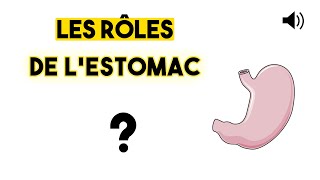 LESTOMAC  Anatomie et physiologie [upl. by Hortensa]