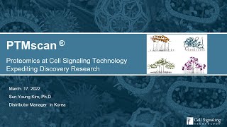 PTM posttranslational modification 스크리닝을 통한 신약 및 바이오마커 발견 [upl. by Dnomed409]