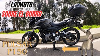 Cómo poner la moto en el BURRO Gato o caballete  Pulsar P150 [upl. by Michaela398]