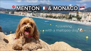 MIA A MONACO ❓😳🇲🇨 🐶 TRAVEL BLOG [upl. by Eitsim]