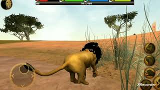 ultimate lion simulator part 2 subscribe me guys [upl. by Brien]