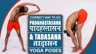 Correct Way To Do Padahastasana पादहस्तासन And Tadasana ताड़ासन Yoga Poses  Swami Ramdev [upl. by Norvol386]