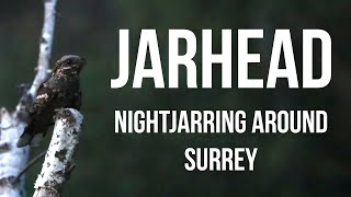 Jarhead Nightjarring around Surrey 08290624 [upl. by Quenna]