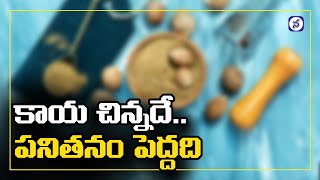 Amazing Health Beneftis of Nutmeg Jajikaya  Health Tips in Telugu  Namasthe Telangana [upl. by Icak]