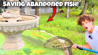 Saving ABANDONED Aquarium FISH from GREEN SLIME POND [upl. by Marabel]