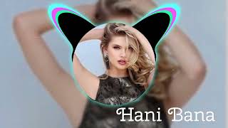 Hani Bana Remix 2024  Captivating Beats by Rami Aslan  Original Track by Elif Yıldız [upl. by Aelrac]