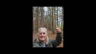 Virtual Hike 35 miles  Sugar Hollow Park Bristol VA with Retired Lady Hiker Nov 2024 [upl. by Neros637]