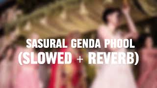 SASURAL GENDA PHOOL SLOWEDREVERB FULL SONG abhishekbachchan [upl. by Andria439]