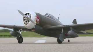 P47D1 Thunderbolt 60 ARF by Hangar 9 [upl. by Eatnwahs426]