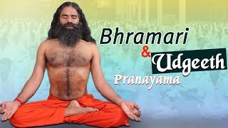 Bhramari amp Udgeeth Pranayama  Swami Ramdev [upl. by Nalyac]