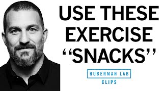 quotExercise Snacksquot to Improve amp Maintain Fitness  Dr Andrew Huberman [upl. by Cannice43]