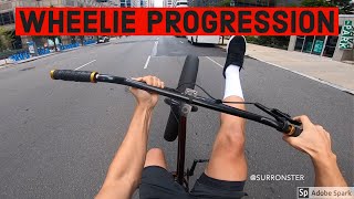 4 MONTH WHEELIE PROGRESS EDIT  SE Fat Ripper [upl. by Maire]