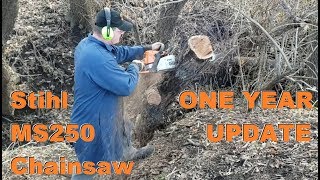 Stihl  MS250 Chainsaw  ONE YEAR UPDATE [upl. by Etnoek455]