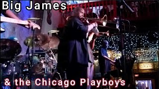 Big James amp The Chicago Playboys Classic Live Concert [upl. by Venterea515]