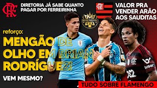 REFORÇO FLAMENGO JÁ SABE QUANTO PAGAR POR FERREIRINHA ATACANTE DE SELEÇÃO NA MIRA  ARRASCAETA [upl. by Warrenne]