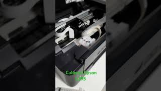 Limpieza de Cabezal Epson L395 con Tina Ultrasónica 2024 [upl. by Ahtikal]