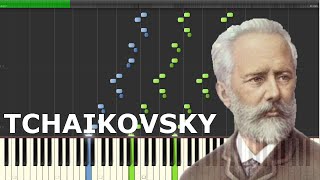 TCHAIKOVSKY  Piano Concerto No 1 13  Op 23 [upl. by Sad]