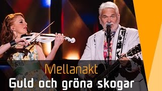 Hasse Andersson – Guld och gröna skogar  Melodifestivalen 2016 [upl. by Amyas819]