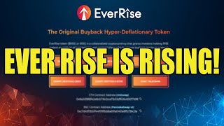 EverRise Token Is Pumping to All Time Highs EverRise Rising To Massive Gains EVERRISE [upl. by Lledrev]