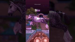 sso best draft horse ‼️ sso starstable starstableonline [upl. by Euqinue634]