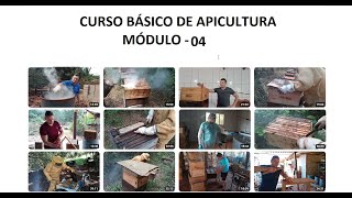 CURSO BÁSICO DE APICULTURA  VÍDEO 04 [upl. by Randene]