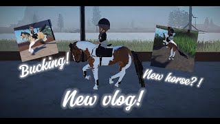 New horse First Vlog  Bella Eventing [upl. by Leonerd]