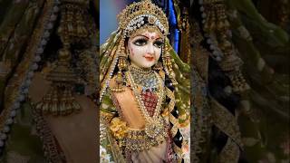 Radharani ki jai Maharani ki jai🙏🌸trendingradharaniytshortsshortsyoutubeshorts [upl. by Gunter]