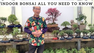 Indoor Bonsai All You Need To Know [upl. by Natye]