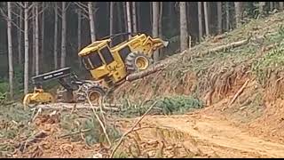 caterpillar skidder weiler 250spesa forest tem dias que da medo [upl. by Ardolino]