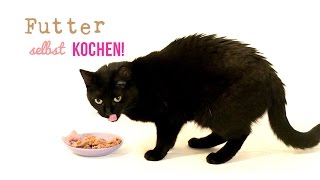 Katzenfutter Rezept  Katzenfutter selber kochen [upl. by Notirb]