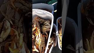 What A Haul Dockside Charters Depoe Bay OR saltwater dungenesscrab ocean [upl. by Lazarus]