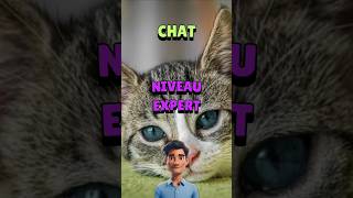 Quiz Chat niveau Expert  fr quiz question chat [upl. by Ahsemal]