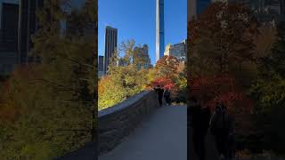 Good morning from Central Park 🍁☀️🌆 usa travel ytshorts viralvideo [upl. by Ennywg377]