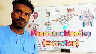 Pharmacology4PharmacokineticsExcretionAfSoomaali [upl. by Anibur]