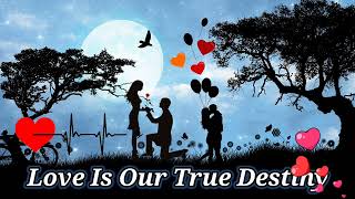 Love Is Our True Destiny  Love Songs 2024 Top Romantic Hits in English 💞 [upl. by Mencher]