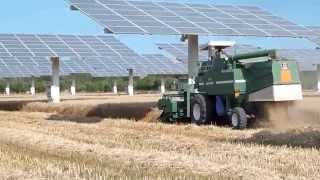 Inseguitori solari Corditec Deco il nostro campo agrofotovoltaico [upl. by Gothar158]