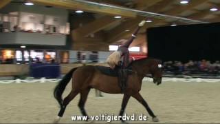 Sara Petersson SWE  CVI3 Female  25  CVI Ermelo 2016 [upl. by Reyaht]