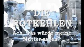 DIE ROTKEHLEN  Ach was würde meine Mutter sagen  Live on Stage  Kassel  Tag der Erde  kassel [upl. by Yentruoc]