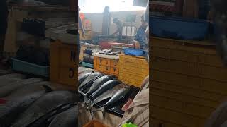 Vanjaram fish purchase [upl. by Bruce340]