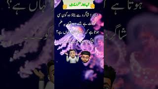 funny jokes in urdu  104 lateefay in urdu funny videos [upl. by Constancy]