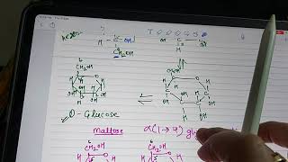 DGlucose Fischer Projection to haworth projection interconversion [upl. by Elpmet]