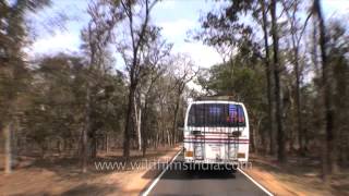 Driving from Kanha to Jabalpur in Madhya Pradesh [upl. by Noemys972]