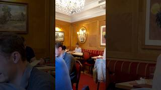 Café Mozart 📍Salzburg Austria I ordered the goulash with the bread dumpling [upl. by Zacharias]