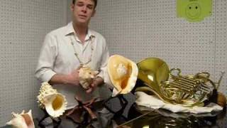 How to Play notes on a conch Shell Pt 1 [upl. by Weirick]