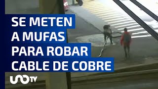 Cámaras del C5 captan como se meten a mufas para robar cable de cobre [upl. by Nawd290]