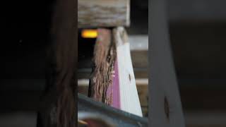 Sharp drawknife vs crisp juniper bow stave [upl. by Zenia]