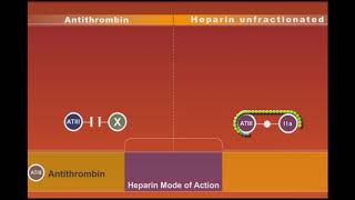 Heparin animation [upl. by Eentihw927]