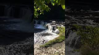 Back to water therapy Aysgarth Falls [upl. by Enyrat]