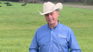 Which Option for Pasture Weed Control Offers the Best ROI [upl. by Chaney]