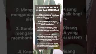 Semoga bermanfaat quotes motivasihidup trendingshorts feedshorts subscribers [upl. by Ocirderf]